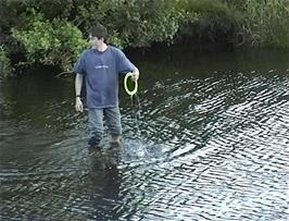Tao retrieves the frisbee from the River Lledr just opposite Lledr Valley youth hostel